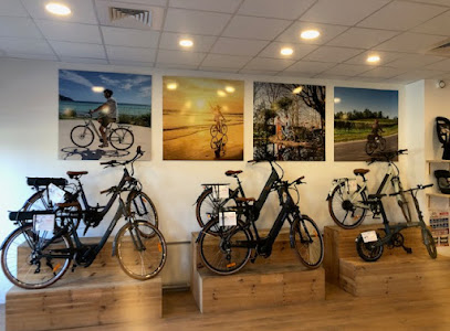 Intérieur magasin de vélos Bordeaux Bègles